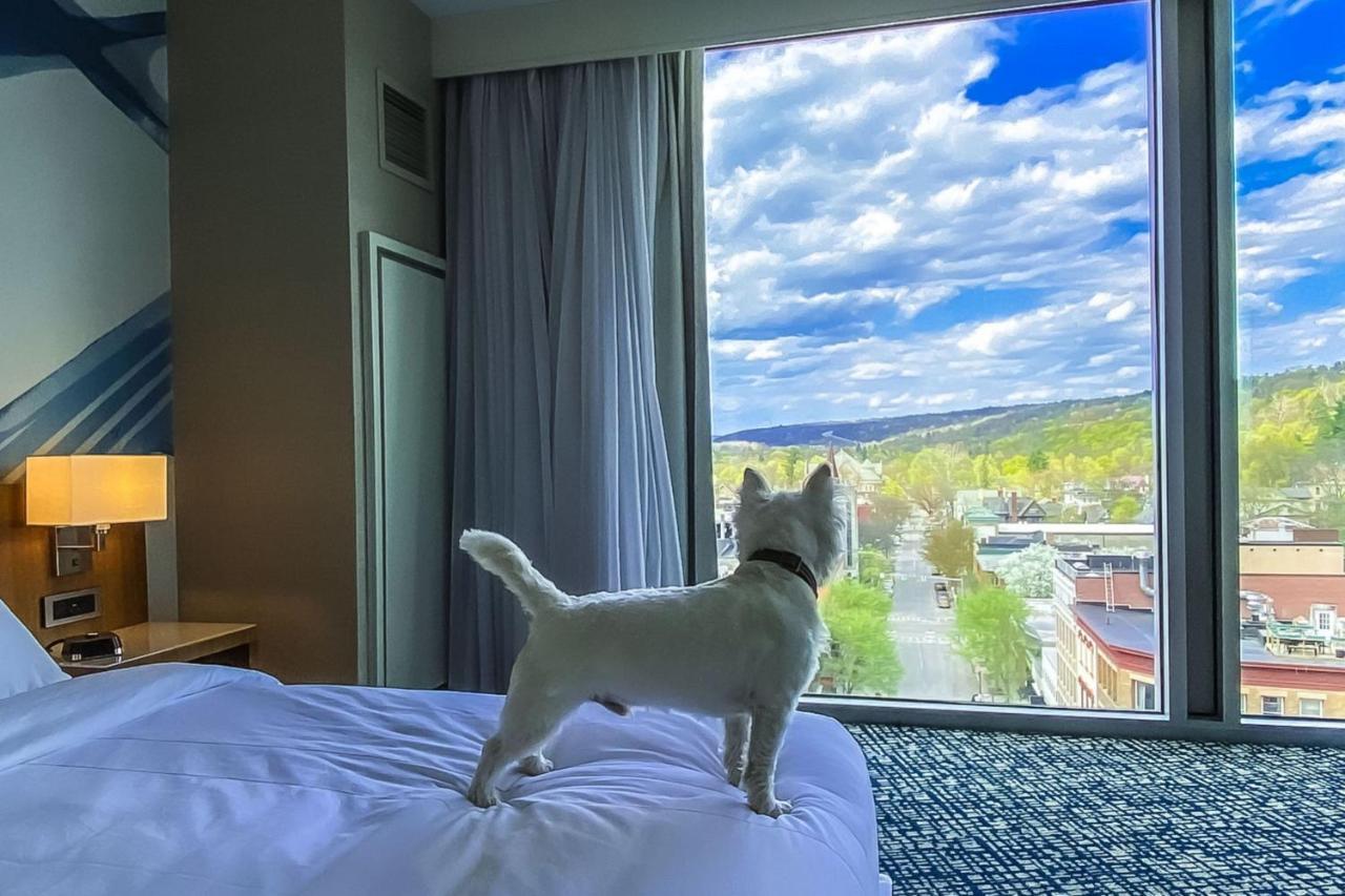 Ithaca Marriott Downtown On The Commons Exterior foto